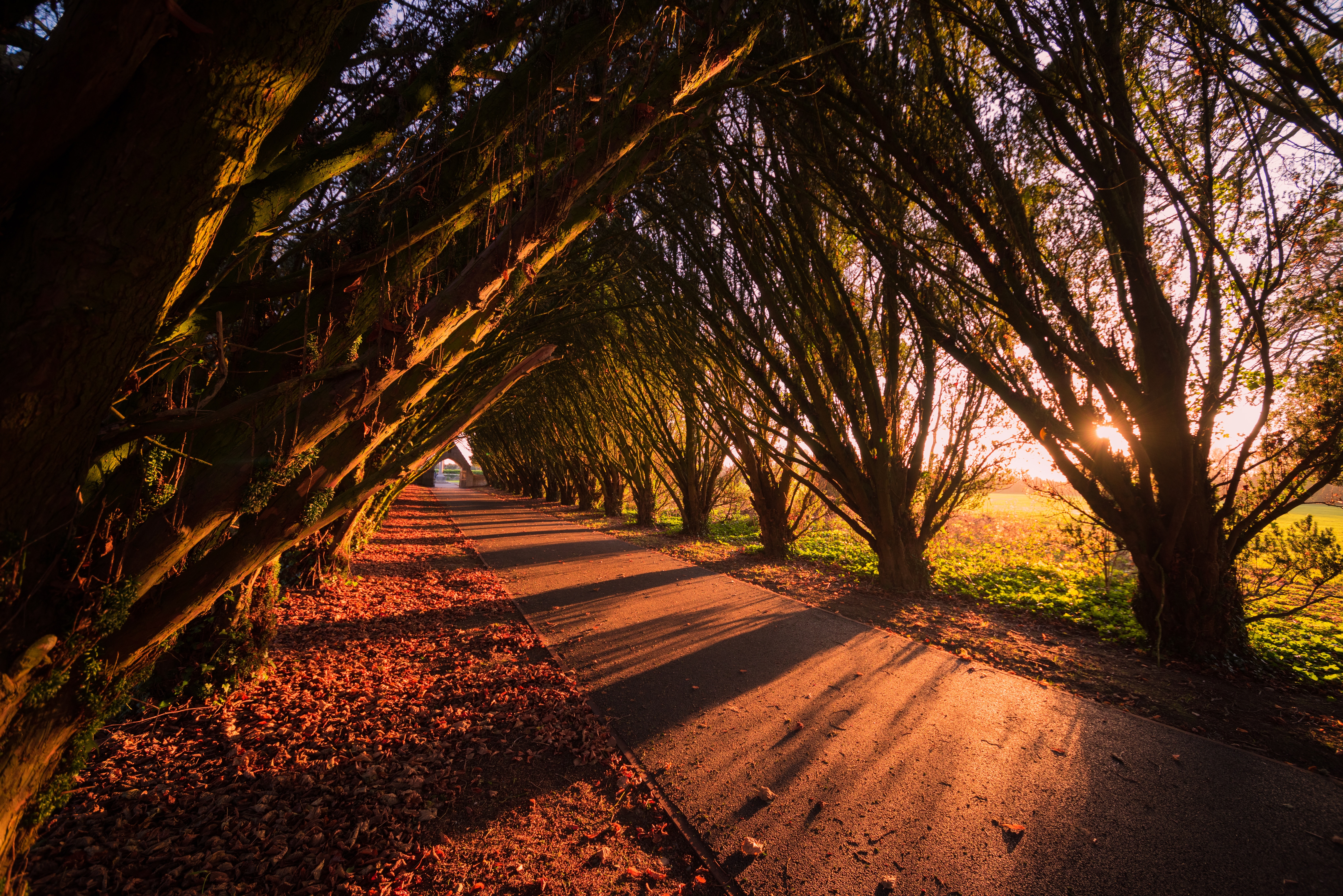 Study at the  best data science masters programs