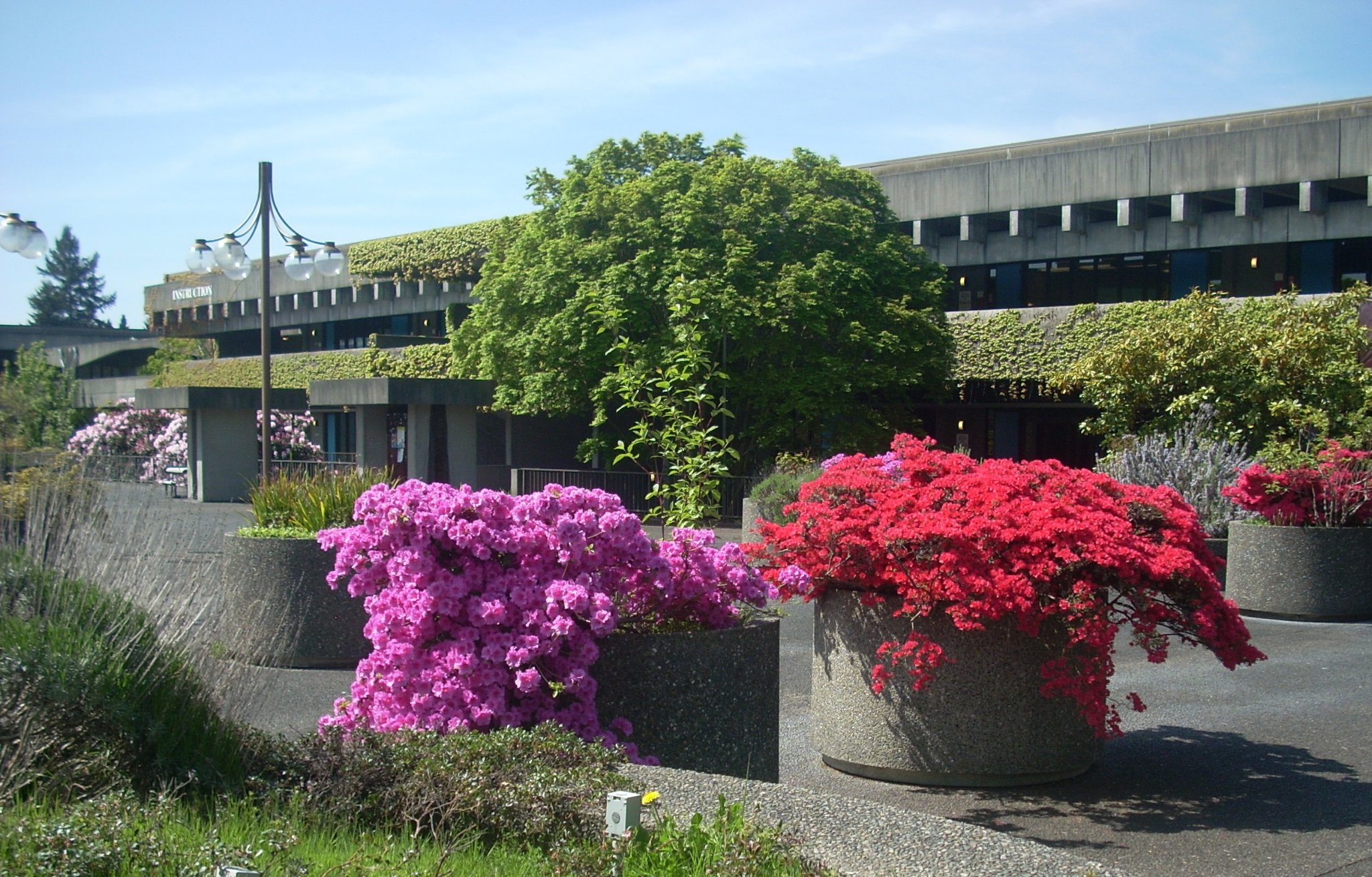 North Seattle Community College