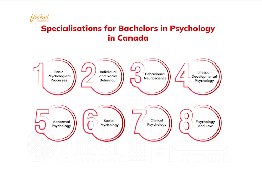 Program Overview for Bachelors in Psychology in Canada