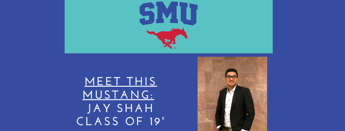 Meet a Mustang Image