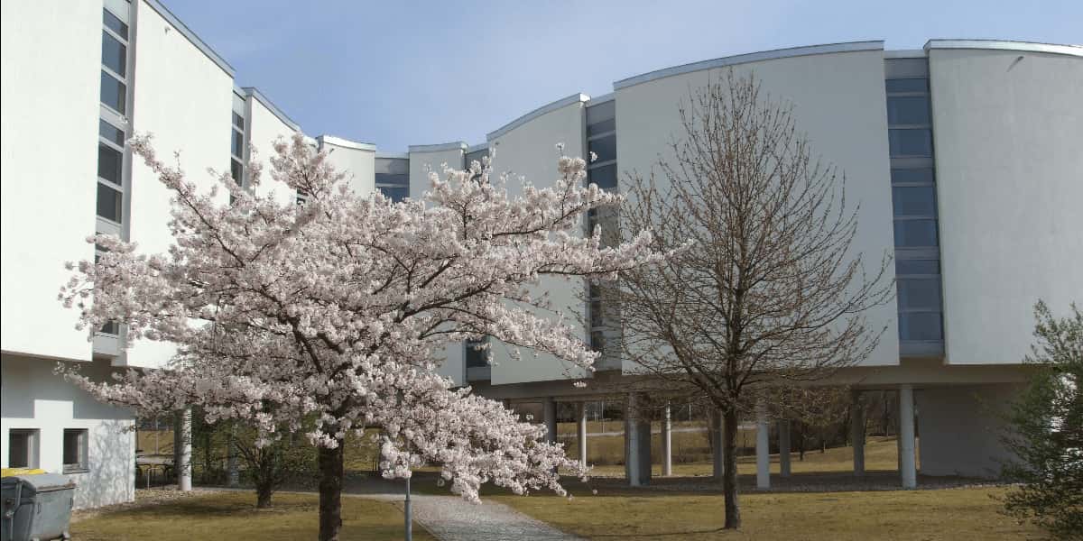 German University of Administrative Sciences Speyer