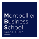 MM in Management - logo