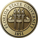 MS in Industrial Engineering - logo